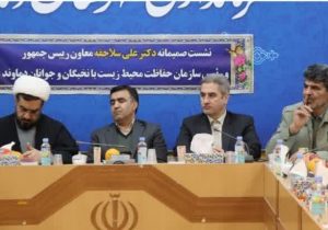 ایستگاه پایش کیفیت هوا برای رودهن نصب شود/ قله دماوند، میخ اصلی این کشور است/ درباره سگهای ولگرد شهرداری مسئولیت دارد