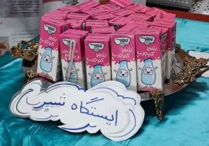 برگزاری چهاردهمین پویش ملی اطلاع‌رسانی تغذیه سالم در دبستان خواهران بابایی+ تصاویر