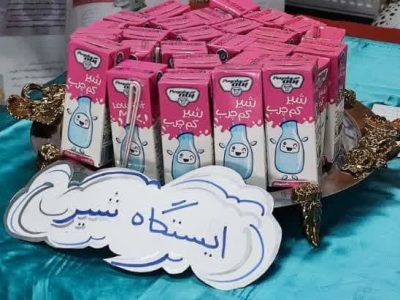 برگزاری چهاردهمین پویش ملی اطلاع‌رسانی تغذیه سالم در دبستان خواهران بابایی+ تصاویر