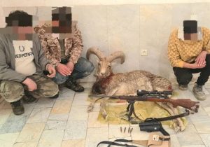 دستگیری شکارچیان ۲ قوچ وحشی و کشف سلاح شکاری غیرمجاز در دماوند