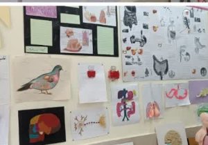 برپایی نمایشگاه دستسازههای زیستشناسی در دبیرستان نمونه دولتی حضرت رقیه (س) دماوند+ تصاویر