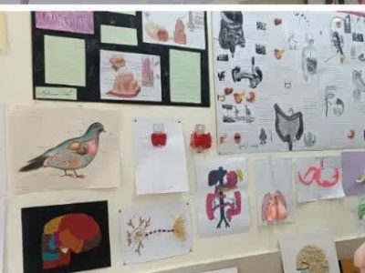 برپایی نمایشگاه دست‌سازه‌های زیست‌شناسی در دبیرستان نمونه دولتی حضرت رقیه (س) دماوند+ تصاویر