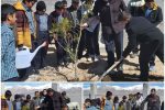 آیین روز درختکاری همزمان با هفته منابع طبیعی در شهر آبسرد