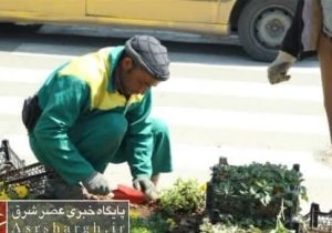 آغاز کاشت گلهای فصلی در بلوارها و میادین شهر دماوند