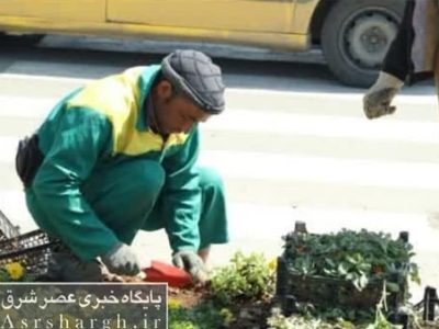 خانه تکانی شهری در دماوند