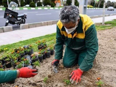 شهرداری دماوند برنامهای جهت رسیدگی به فضای سبز املاک شخصی ندارد/ شهروندان مراقب سواستفاده برخی افراد باشند