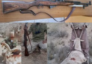 شناسایی و دستگیری شکارچیان غیرمجاز در ارتفاعات گرمابسرد/ ۲ سلاح جنگی و شکاری کشف شد