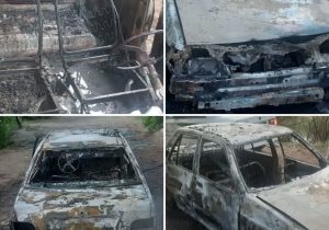 حریق یک دستگاه خودروی پراید در حوالی روستای در کالدشت پایین دماوند+ تصاویر