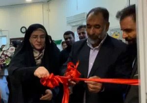 افتتاح نمایشگاه نقاشی «گلبرگ سرخ» در دماوند+ تصاویر