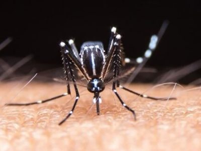 تب دنگی در یک قدمی دماوند!