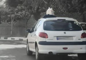 زباله‌های شوتی؛ معضل بهداشتی و زیبایی شهر دماوند/ با مشارکت شهروندان، شهری بهداشتی و زیبا خواهیم داشت