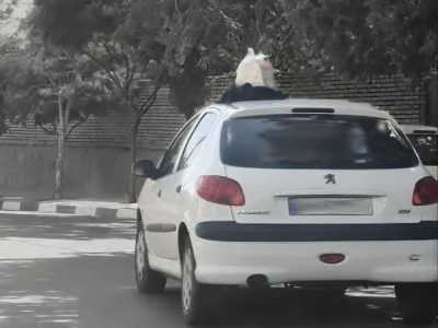 زبالههای شوتی؛ معضل بهداشتی و زیبایی شهر دماوند/ با مشارکت شهروندان، شهری بهداشتی و زیبا خواهیم داشت