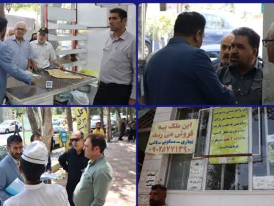 نانواییها زیر ذرهبین گشت نظارتی در شهر دماوند+ تصاویر