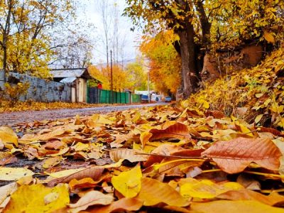 راز رنگ‌ها در دماوند