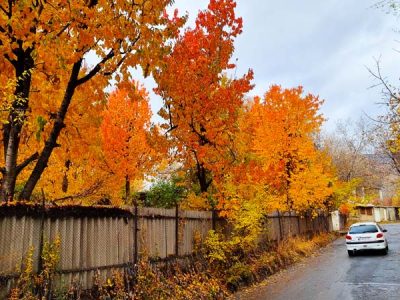 آرامش پاییزی در آغوش دماوند+ تصاویر