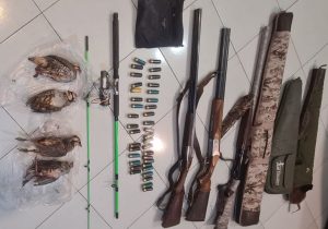 دستگیری شکارچیان غیرمجاز در دماوند/ ۳ قبضه سلاح شکاری و لاشه ۴ کبک کشف شد+ تصاویر