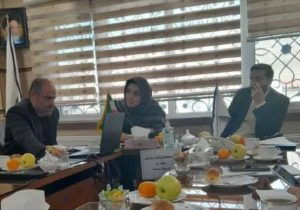 تعامل بیمارستان‌ها و شبکه بهداشت؛ کلید موفقیت در برنامه شهر سالم در دماوند