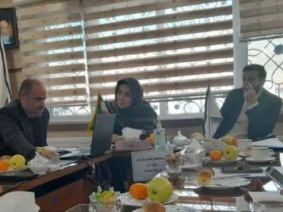 تعامل بیمارستان‌ها و شبکه بهداشت؛ کلید موفقیت در برنامه شهر سالم در دماوند