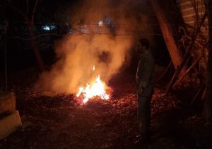 برخورد یگان حفاظت محیط زیست با متخلفان برگسوزی در شهر دماوند+ تصاویر