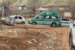 زنده‌گیری پلنگ سرگردان در روستای مغانک دماوند/ پلنگ پیر به دامپزشکی تهران منتقل شد+ تصاویر