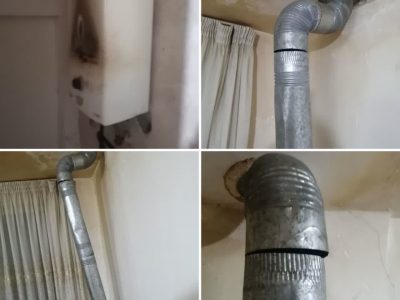 قاتل خاموش در منطقه مشاء دماوند ۲ قربانی گرفت+ تصاویر