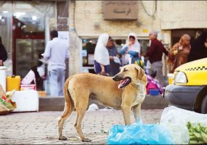 بمب ساعتی در خیابانهای شهرها و روستاهای دماوند