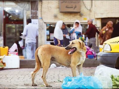 بمب ساعتی در خیابانهای شهرها و روستاهای دماوند