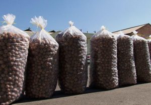 کشف ۳۰۰ کیلوگرم گردوی خارجی در آبعلی