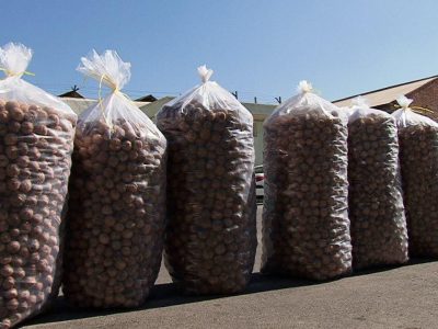 کشف ۳۰۰ کیلوگرم گردوی خارجی در آبعلی