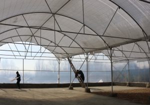 راه‌اندازی بازارچه فصلی میوه و تره‌بار در دستور کار شهرداری دماوند