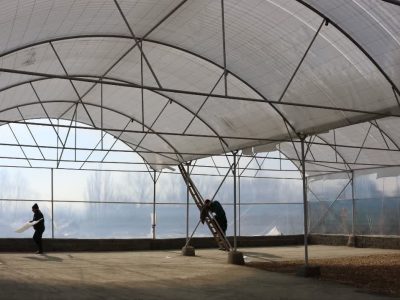 راه‌اندازی بازارچه فصلی میوه و تره‌بار در دستور کار شهرداری دماوند