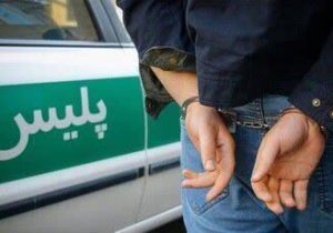 دستگیری سارق حرفهای باغویلا و کشف ۴ فقره سرقت در منطقه گیلاوند