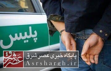 دستگیری سارق حرفهای باغویلا و کشف ۴ فقره سرقت در منطقه گیلاوند