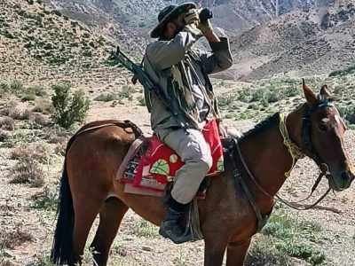 یگان سوارکار به یاری محیط‌بانان دماوند آمد