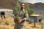 کاشت ۲۰۰ اصله درخت ارس در دریاچه تار دماوند